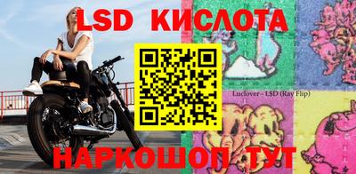 индика Краснознаменск