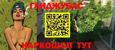 индика Краснознаменск
