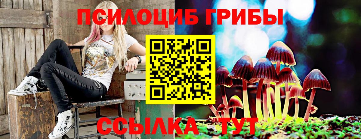 Галлюциногенные грибы мухоморы Кисловодск