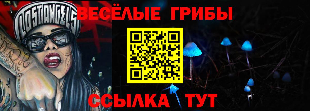 Кисловодск  Галлюциногенные грибы прущие грибы  Вход с VPN 